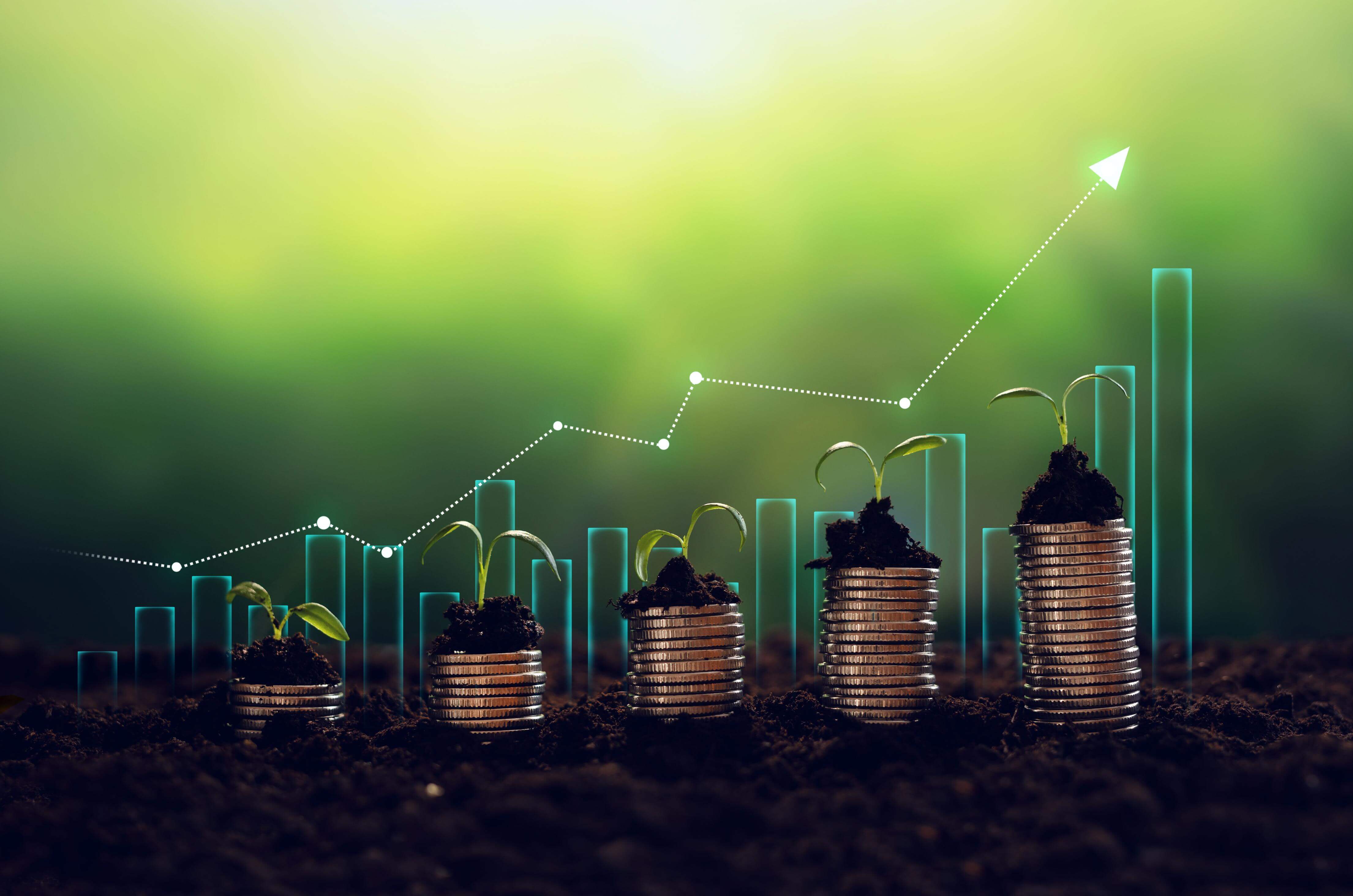 Investment growth